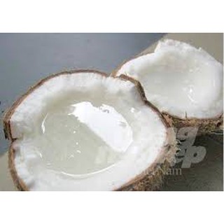 Cây giống dừa sáp đặc ruột 3 năm thu hoạch .