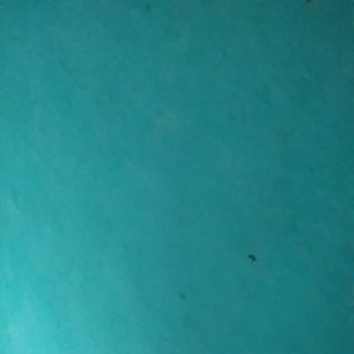 Giày gửi hàng si ngọc