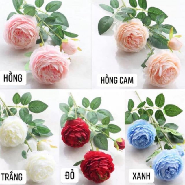 HOA HỒNG LỤA (HÀNG LOẠI 1)