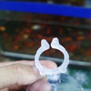 NÚM HÍT DÂY MÁY BƠM ĐÈN HỒ CÁ