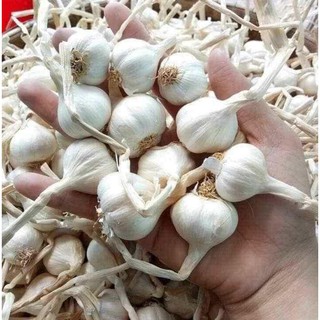 Tỏi Lý Sơn - 50g - Giá sốc dùng thử