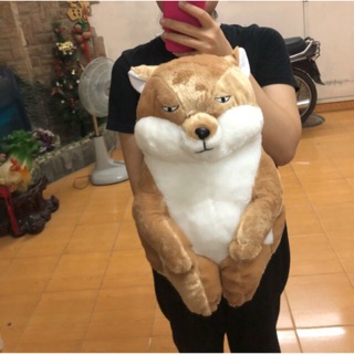 Gấu bông đã đặt trước