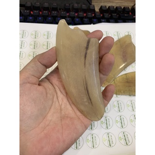 Miếng cạo gió từ sừng trâu