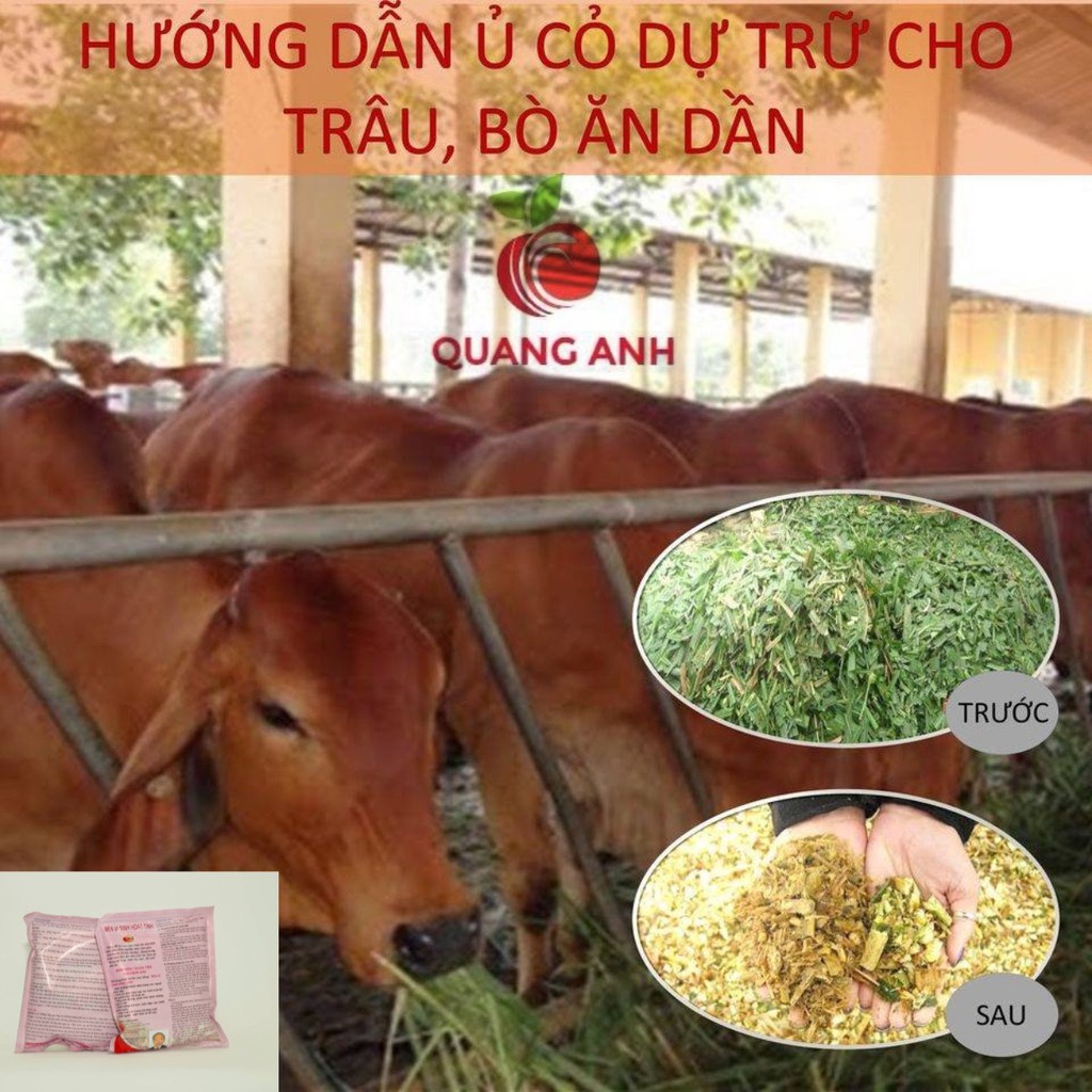 1kg MEN VI SINH Ủ THỨC ĂN CHĂN NUÔI HOẠT TÍNH - MEN VI SINH HOẠT TÍNH HỌC VIỆN NÔNG NGHIỆP