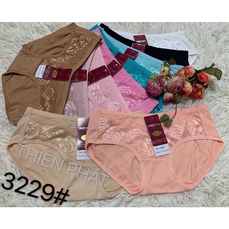10 Quần lót nữ Thiện Phát (3229)