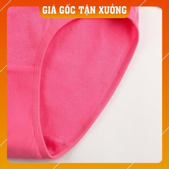 [Hàng Chất Lượng Cao]  Sét 04 quần Lót Cotton trơn Quảng Châu kháng khuẩn xuất Nhật Q1