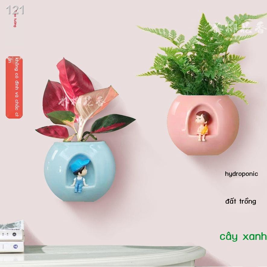 Bắc Âu sáng tạo treo tường chậu hoa nhỏ thủy canh cây thì là xanh phim hoạt hình mini cặp đôi dán vào gốm sứ