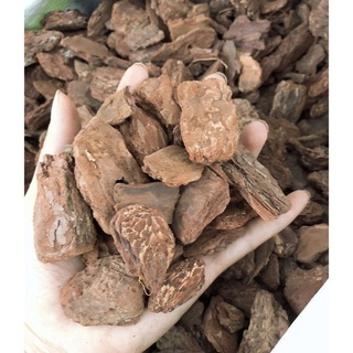 Vỏ thông trồng lan đã qua xử lý size 2_6cm gói 1kg
