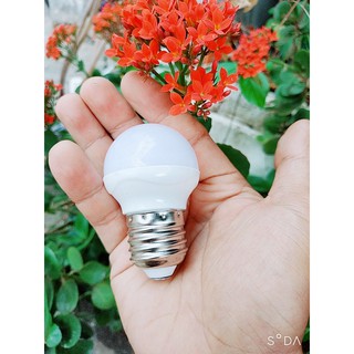Bóng đèn LED 3W,5W  đèn ngủ 3W, 5W siêu tiết kiệm điện (loại 1)