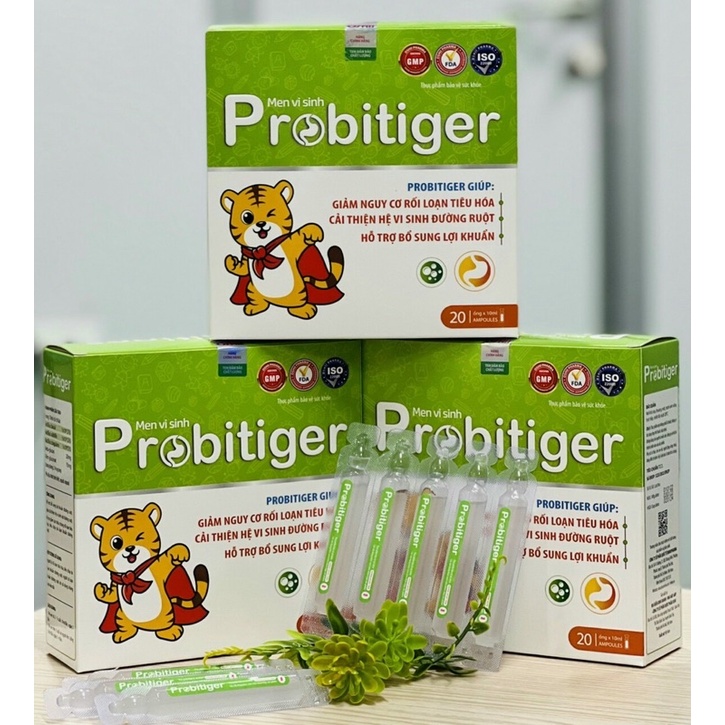 Men vi sinh dạng nước Probitiger, hỗ trợ tiêu hoá giúp bé ăn ngon miệng
