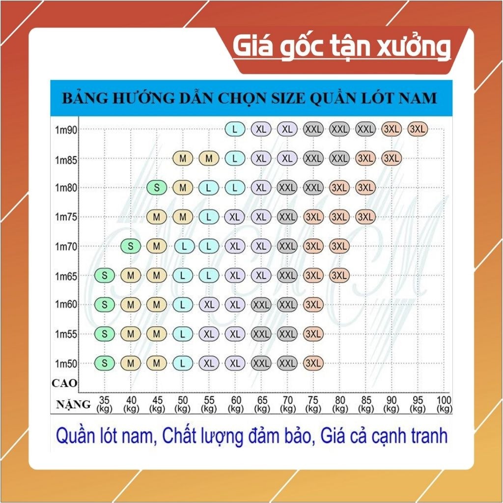 [COMBO] 5 Quần Lót Nam Cao Cấp ★ Nhiều Lưng, Nhiều Màu Giao Ngẫu Nhiên ★ - Quần Lót Nam | BigBuy360 - bigbuy360.vn