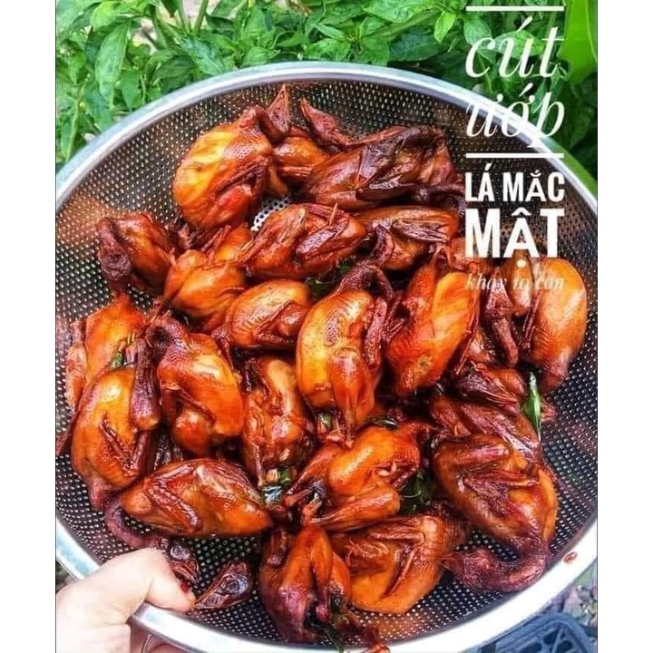 CHIM CÚT ƯỚP LÁ MẮC MẬT 1KHAY 10 CON