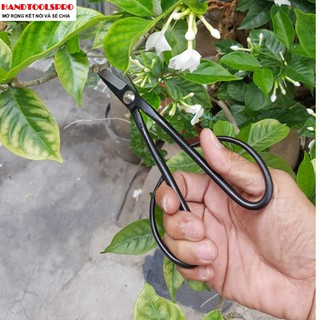 KÉO TỈA CÂY BONSAI DÀI 210MM TOP LU-KTBS-ND