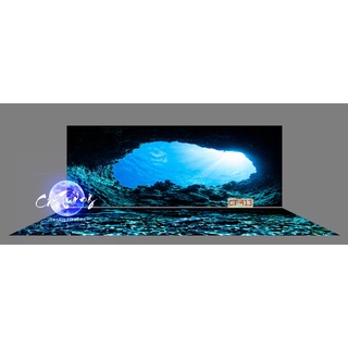 Tranh 3d dán bể cá thủy sinh, bể cá rồng