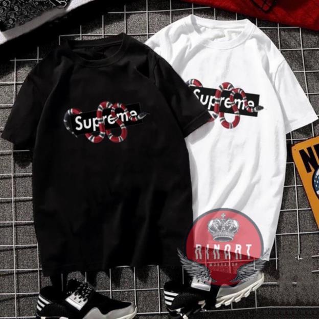 ALBUM 1260 - ÁO THUN UNISEX COTTON RẮN SUP