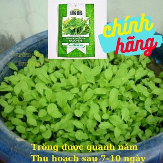 [Rạng Đông] Hạt Giống Cải Bẹ Xanh Ăn Non RADO 638 20gr