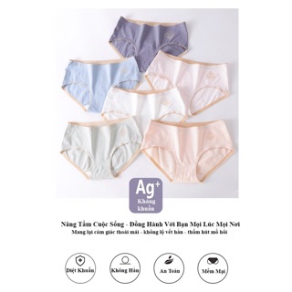 Quần Lót Cotton Không Viền Vải Co Giãn 4 Chiều, Lớp Lót Kháng Khuẩn Cao Cấp