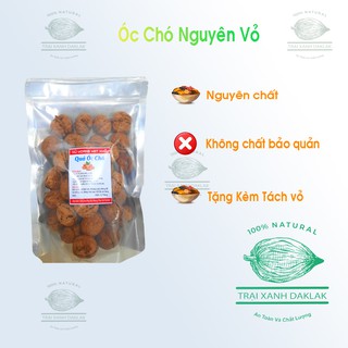 Quả Óc Chó Khô Cao Nguyên Đá Đồng Văn Ngon chất lượng cao - Quả được chọn lọc kỹ càng không gia vị - đóng gói 500g