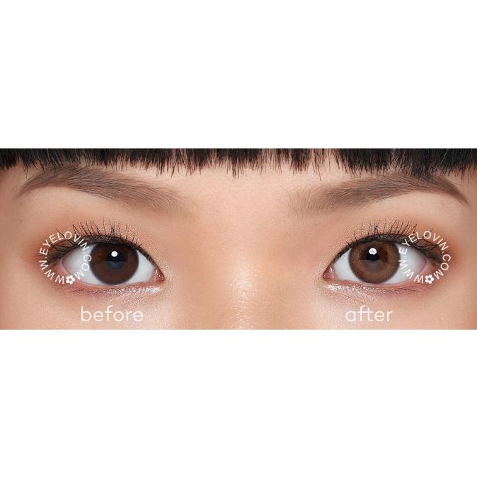 Mèo Con Kawaii Kitty Softlens - Mini Primo Nâu | BigBuy360 - bigbuy360.vn