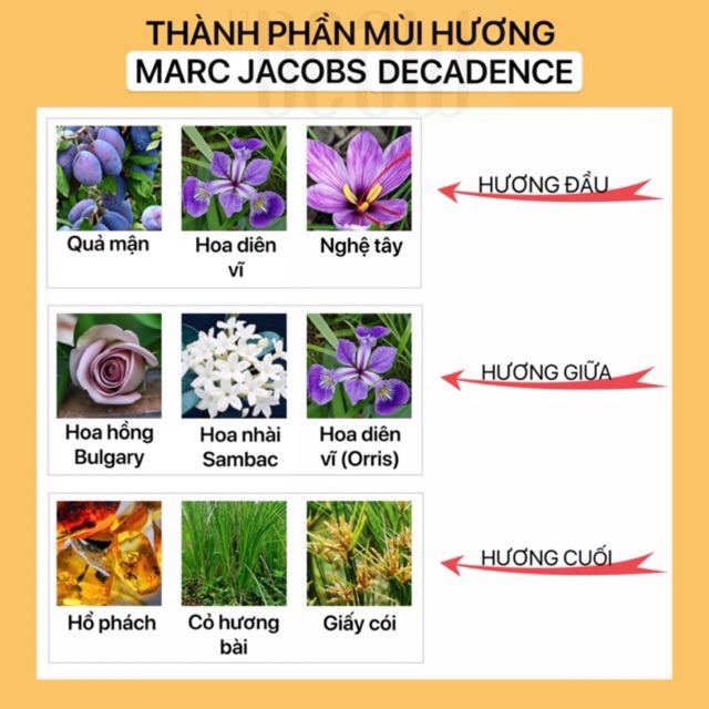 Nước Hoa Nữ Marc Jacobs Decadence 🍑 Mini 10ml Dạng Lăn Dạng Xịt-Dầu Thơm Bỏ Túi Size Nhỏ Tiện Dụng | BigBuy360 - bigbuy360.vn