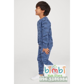 Bộ nỉ khủng long H&M bé trai dư xịn, 1-10 tuổi