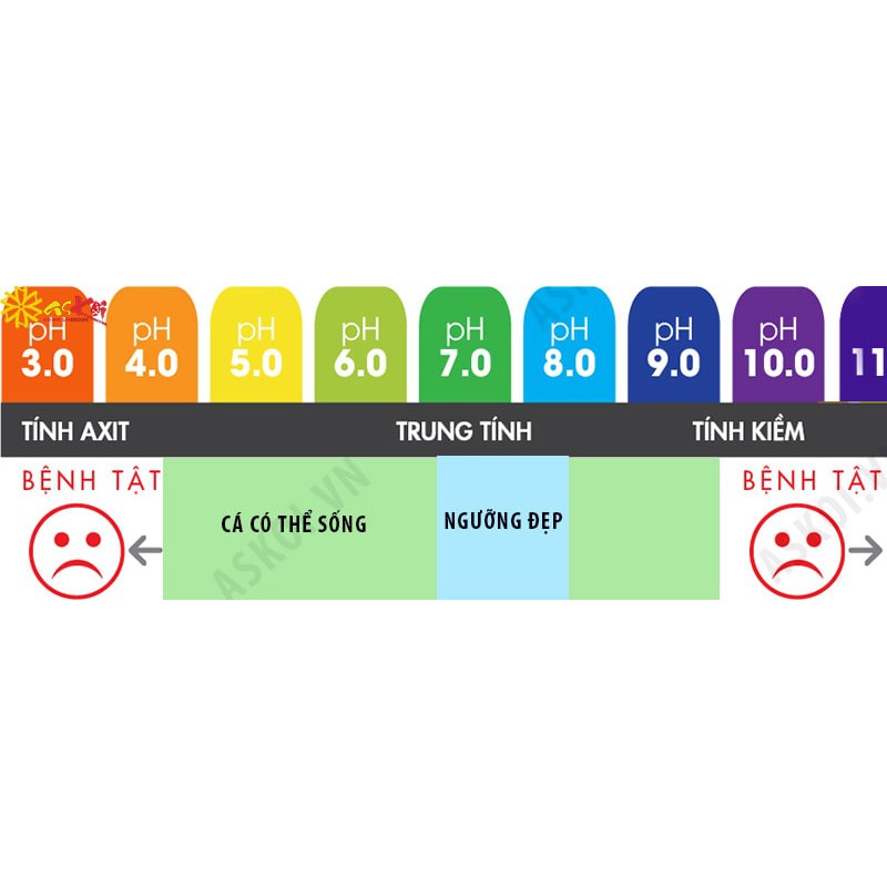 Vi Sinh Koika Tăng/Giảm PH 105ml - Vi Sinh Đặc Biệt Koika  Cho Hồ Cá Tép Cảnh