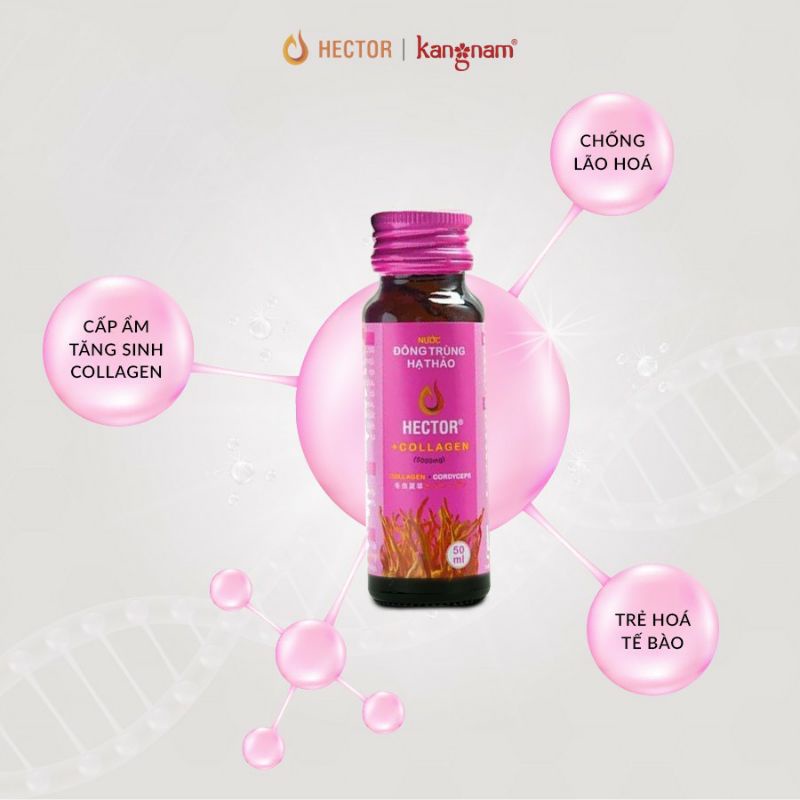 Nước Uống Đông Trùng Hạ Thảo HECTOR Colagen 1 Chai