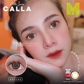 Kính áp tròng Contact lens gray, brown