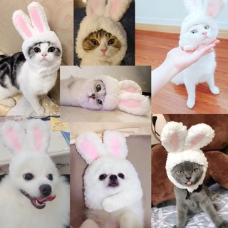 Mũ Cosplay xinh cho chó mèo