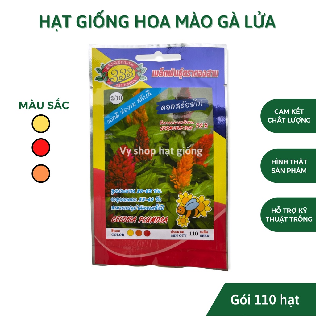 Hạt giống hoa mào gà lửa Thái Lan