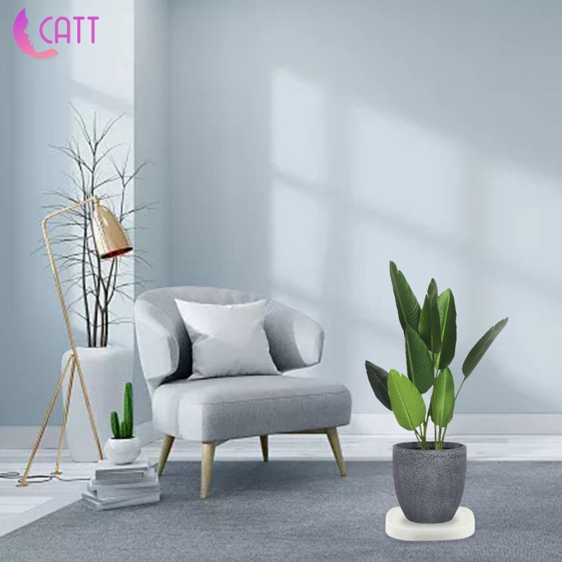 Khay Để Chậu Hoa Di Động Trong Nhà Có Bánh Xe Vô Hình 1