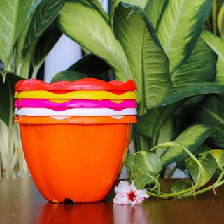 Chậu nhựa treo khía