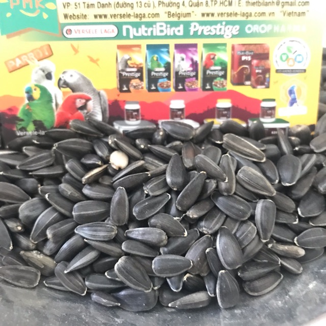 Hướng dương Nga gói 1kg
