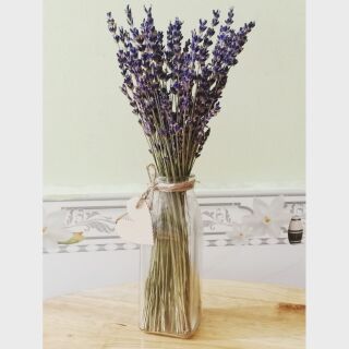 Bó mộc Hoa Lavender nhập khẩu Pháp 100 cành  không bao gồm lọ