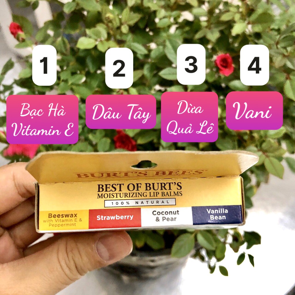 ❤ [Quận 3] Tách lẻ 1 Son dưỡng môi không màu Burt's Bees Mỹ (Dâu, Dừa, Vani), 100% thiên nhiên [Date 8/2023]