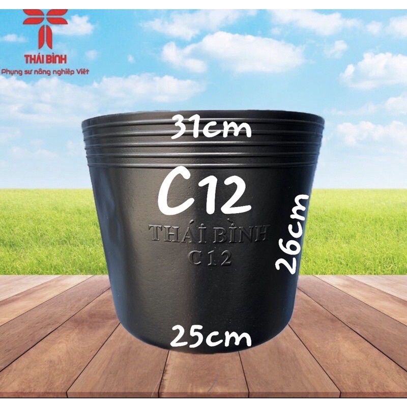 Combo 100 cái chậu nhựa C12 ( Giá Sỉ )