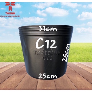 Combo 100 cái chậu nhựa c12