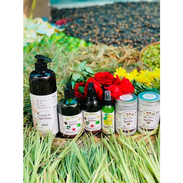 ComBo Dầu Gội Thảo Dược Bồ Kết Cô Đặc+Ủ Xả+Xịt Bưởi Quỳnh Dương🌿Sạch gàu,Nấm ngứa,Ngừa rụng tóc,Kích thích mọc tóc 🍃