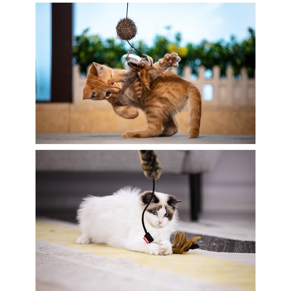 Gigwi Cần câu dài với lông vũ, quả cầu