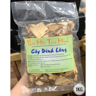 [FREESHIP] - Cây Đinh Lăng Hỗ trợ giảm các triệu chứng mỏi gối, đau lưng....