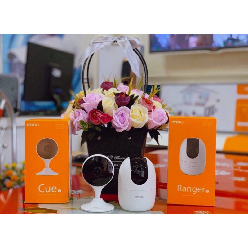 CAMERA IP WIFI A22EP