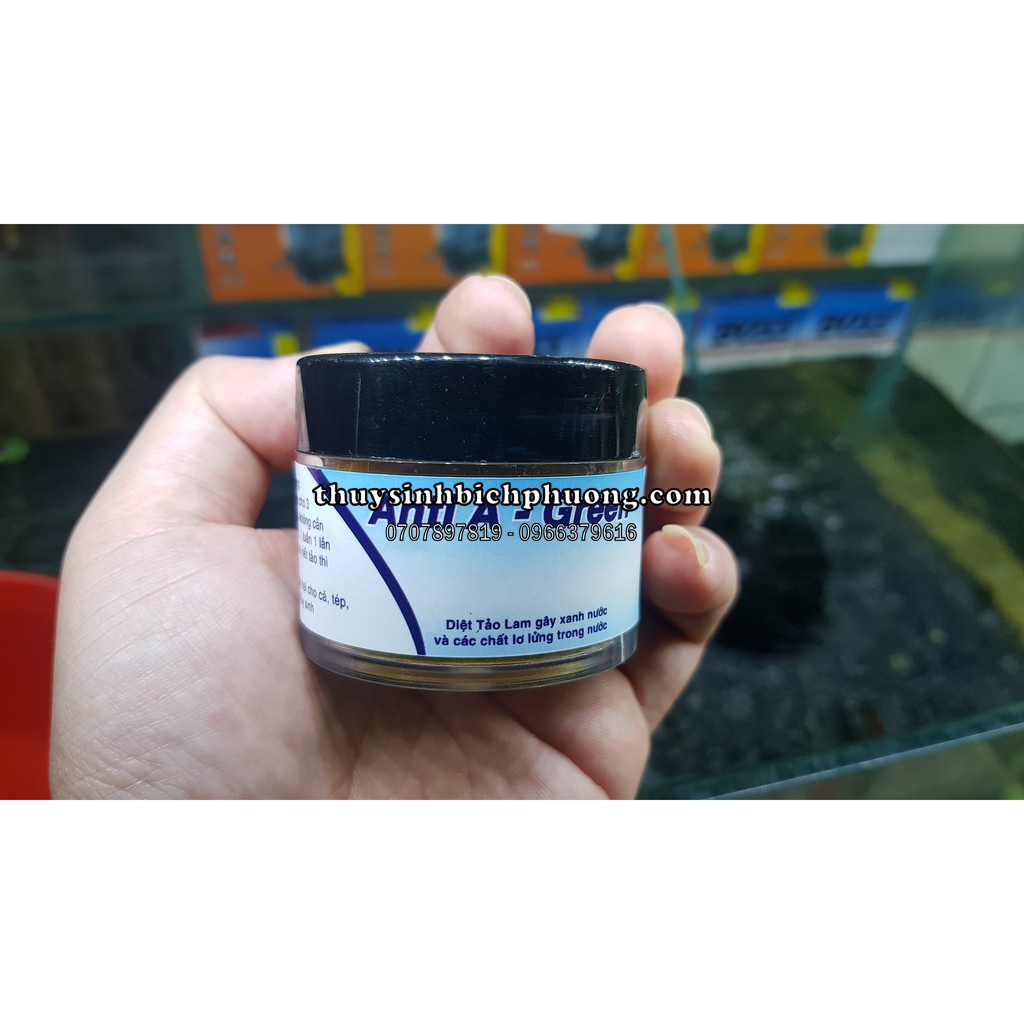 BỘT DIỆT TẢO XANH LAM, KHỬ NƯỚC XANH - ANTI A GREEN | CHUYÊN TRỊ CHO HỒ NGOÀI TRỜI NƯỚC XANH