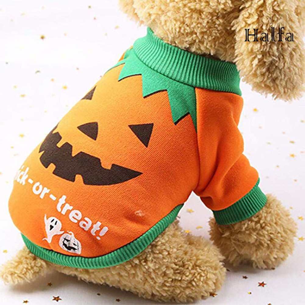 Bộ Đồ Hóa Trang Halloween Cho Thú Cưng