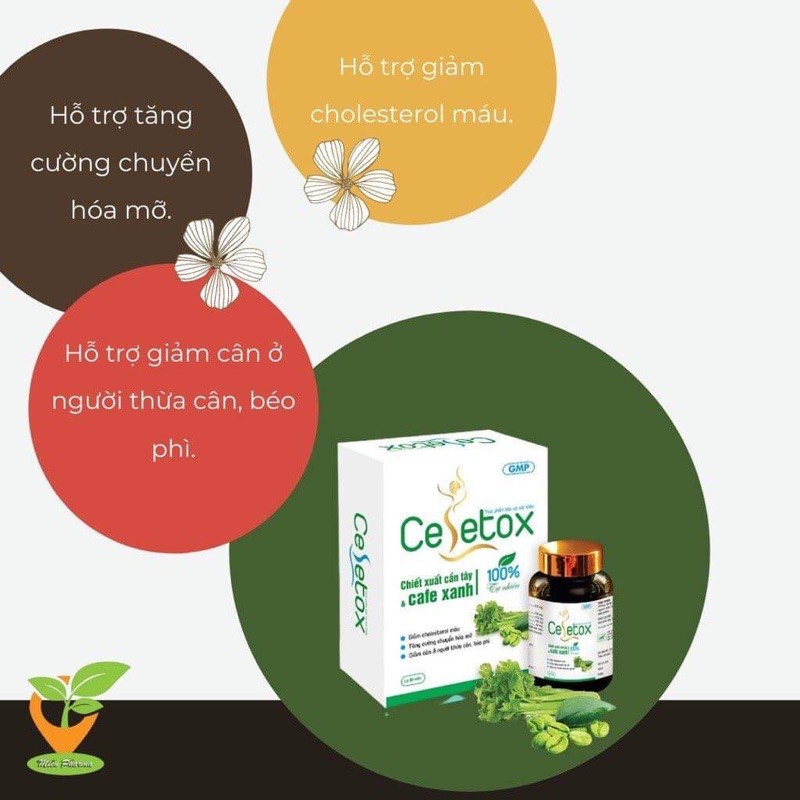 Celetox hỗ trợ giảm cân, giảm mỡ, chiết xuất cần Tây, cafe xanh