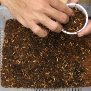 1kg tro trấu (ít trấu)