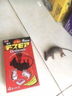 Thuốc diệt chuột Dethmor Nhật