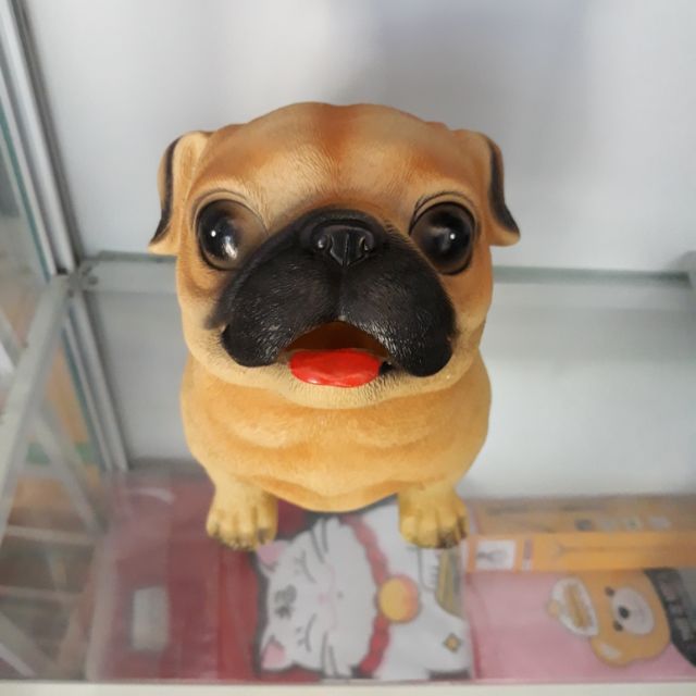 Cún Đất Tiết Kiệm