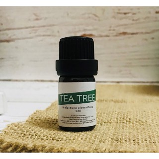 Tinh dầu Tràm Trà - Tea Tree Oil