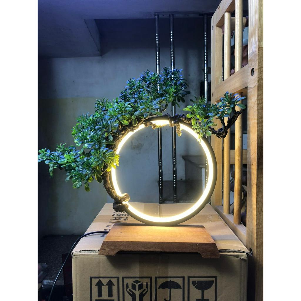 kệ đèn led đặt tượng, mô hình cỡ nhỏ ( giá chưa bao gồm tượng)-đường kính vòng 20cm, đế gỗ gụ rộng 15 x sâu 10cm
