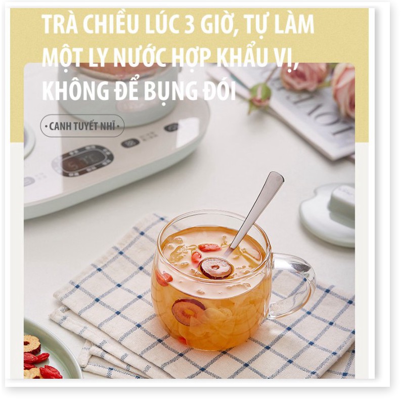 🔝 Ấm đun Siêu Thuốc Trà thảo mộc thuỷ tinh Giữ Nhiệt Bear